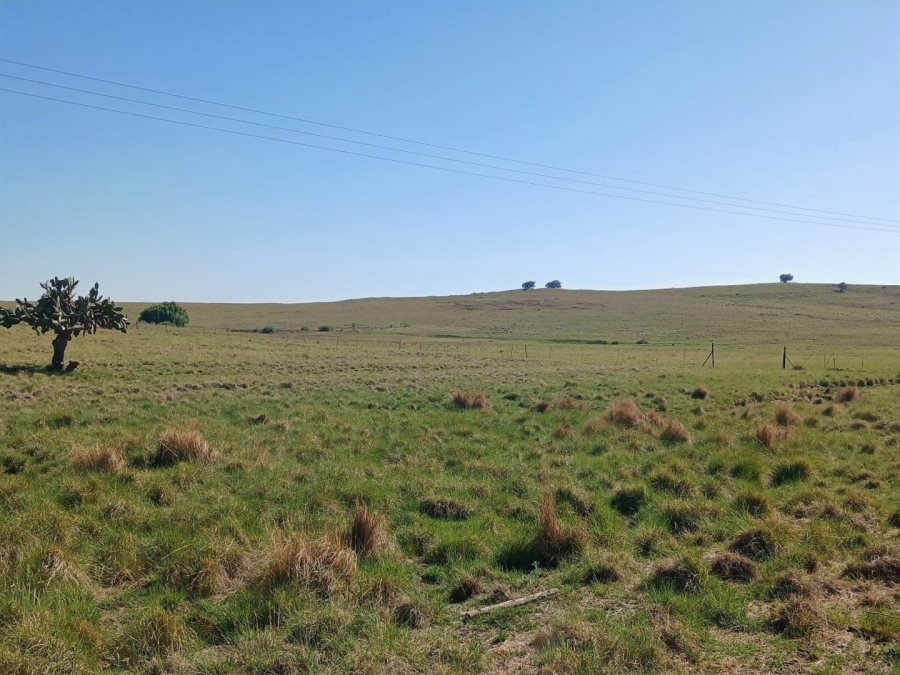 4 Bedroom Property for Sale in Senekal Rural Free State